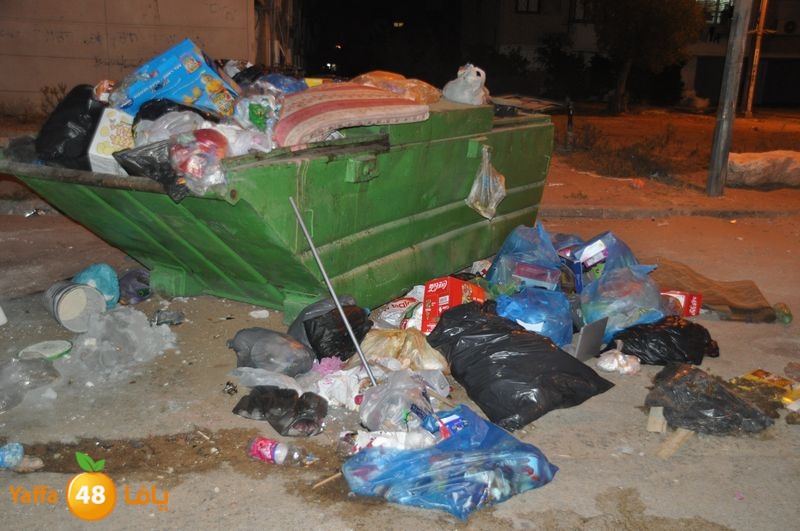 trash lud 907 (40).JPG